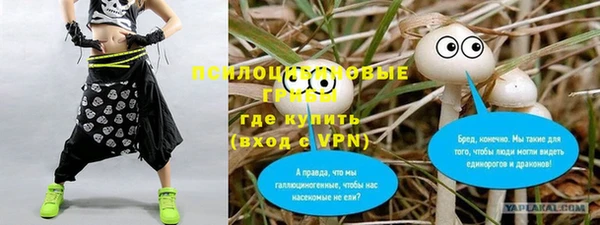 таблы Пестово