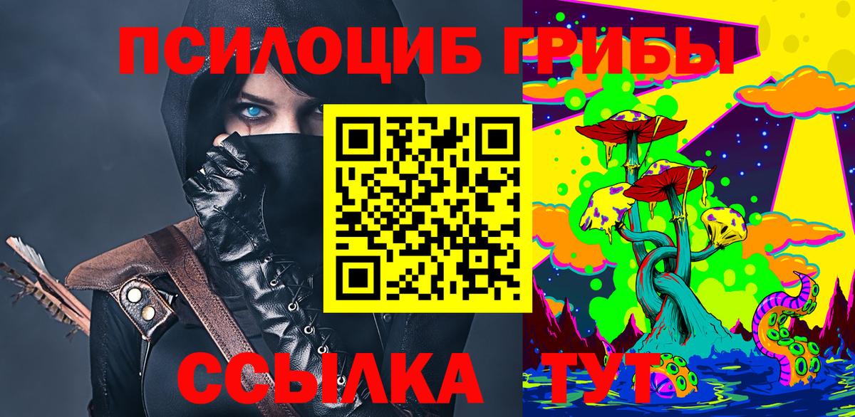Новосибирск  Псилоцибиновые грибы мухоморы  Псилоцибиновые грибы мухоморы  Вход с VPN 