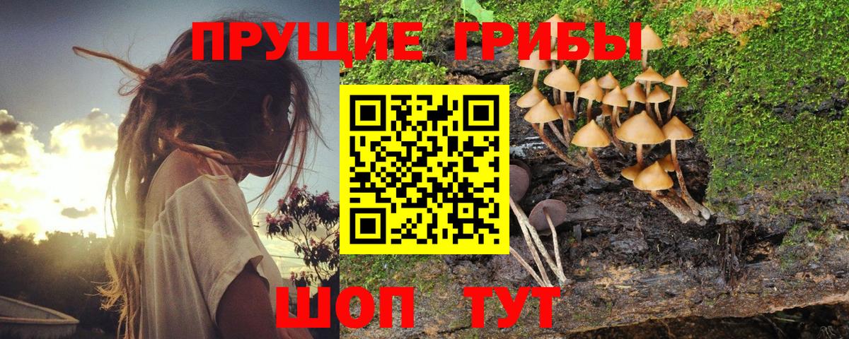 Галлюциногенные грибы ЛСД  Новосибирск 