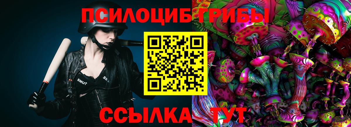 Псилоцибиновые грибы Psilocybe Новосибирск