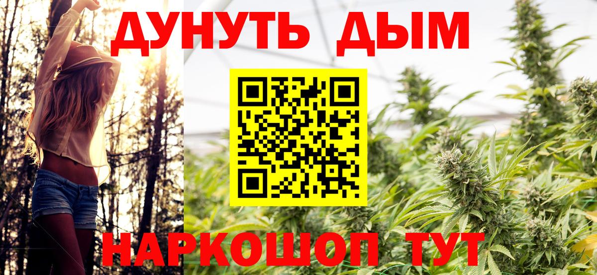 Псилоцибиновые грибы Новосибирск